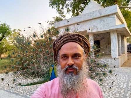 आश्रम में सफेद मंदिर के सामने पंख फैलाए मोर के साथ श्री मुकेश दास जी